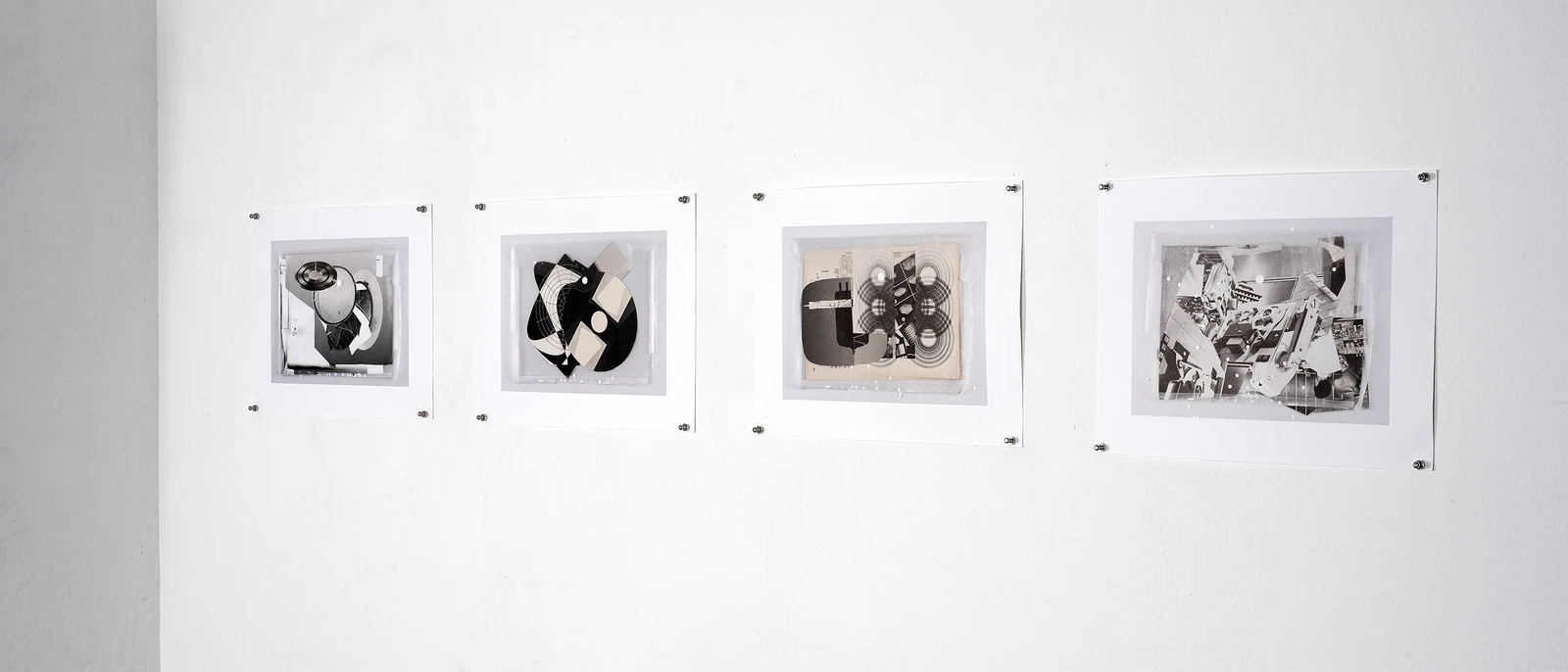 Black-and-white circular cut-outs arranged inside a transparent tray.